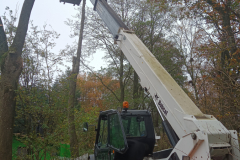 IMG_20201110_095541_604